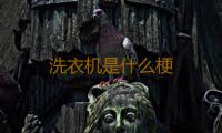 洗衣机是什么梗 